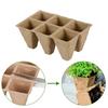 10/20Pcs Biodegradable Seed Starter Peat Pots Seed Growing Tray Planting Seed Tray Kit For Garden Grow Box Supplies Nursery Cup