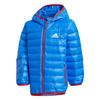 Down Jacket Blue Children Aged 3 7 Years Old GC9258