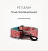 Plattco Red Leopard Print Nylon Dog Collar and Leash Set PDL332