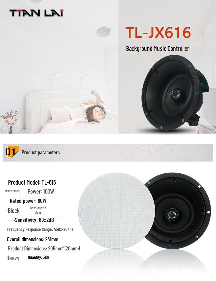 Tianlai Built-in HiFi Coaxial Ceiling Speaker for Home & Shop Background Music