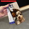 2DFlat Samsung phone case Adorable Dachshund Puppies Close-Up Phone Case Applicable to Galaxy S22 S23 S24 S25ULTRA S26 A12 A13 A14 A15 A16
