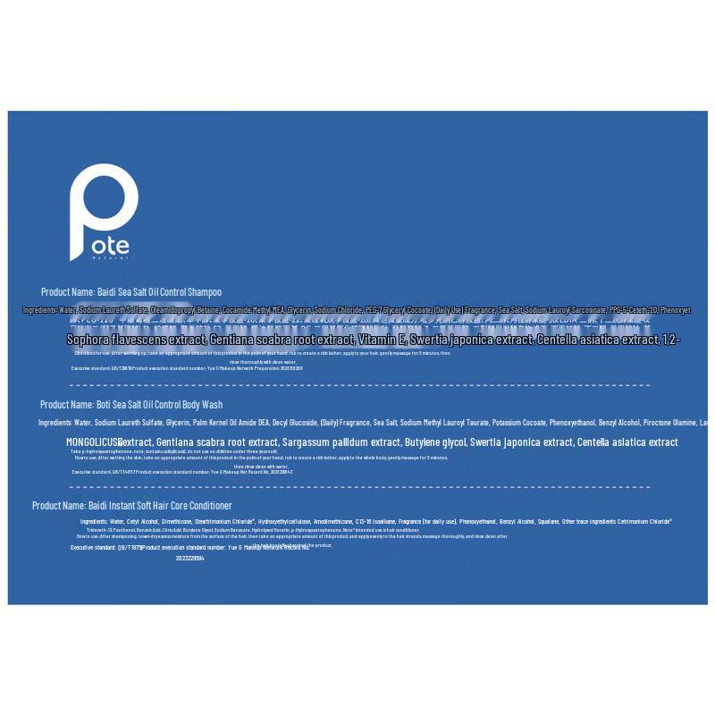 Bairui Oil Control Travel Hair & Body Care Set