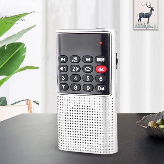 L-328 FM Radio Multifunctional Rechargeable Portable USB TF MP3 Player Handheld Speaker for Outdoor