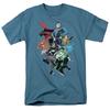 Justice League Of America "Group Shot" T-Shirt - Adult, Child