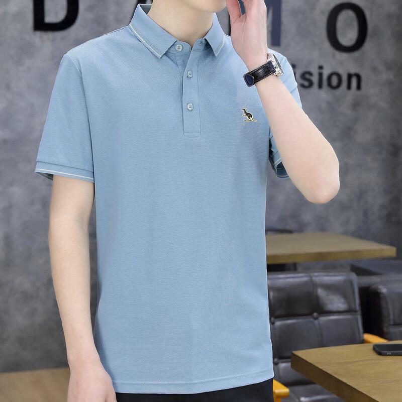 DAISHU Men's Silk Blend Short-Sleeve Polo Shirt