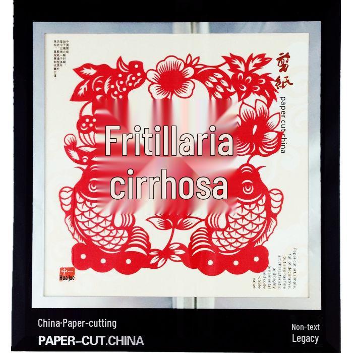 Xian Porcelain Paper-Cut Decorative Painting: Chinese-Style Handcrafted Gift for Foreigners