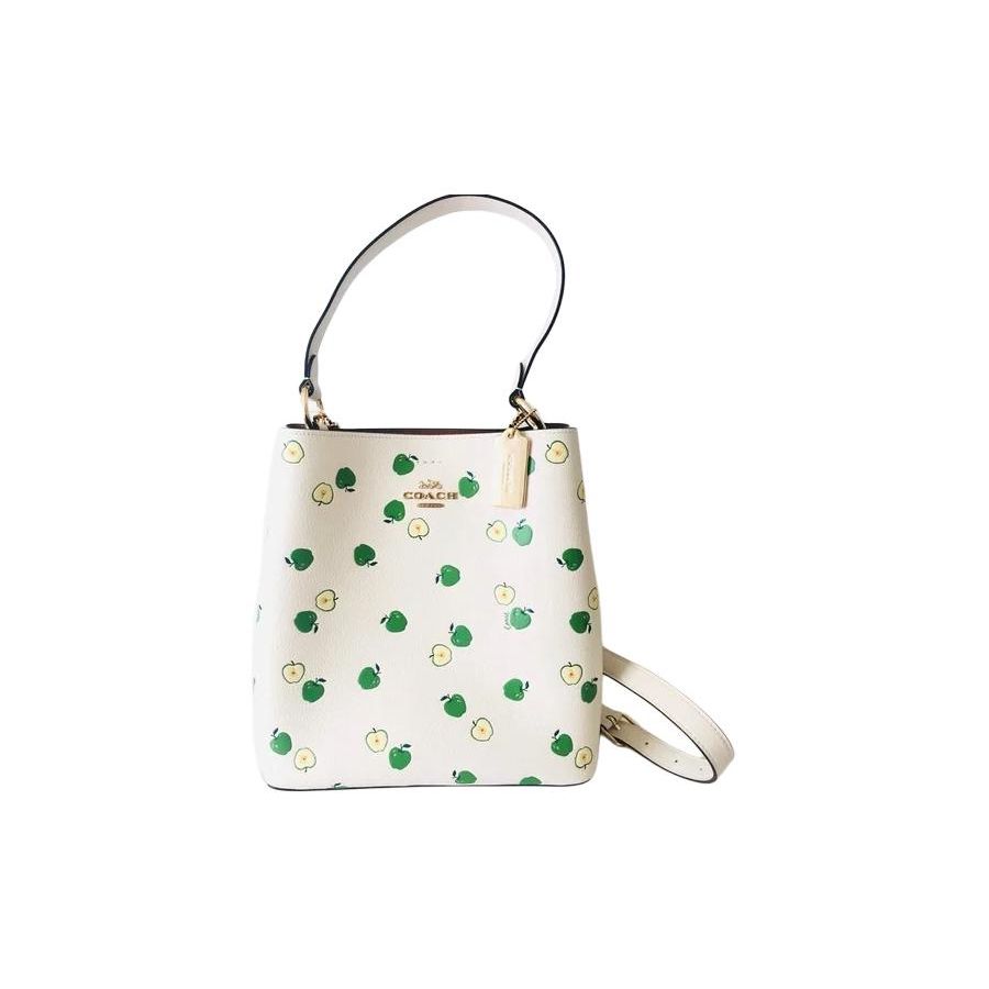 Coach Town 26 Green Apple Print Leather Bucket Bag Women bags White C4301-IMSIT