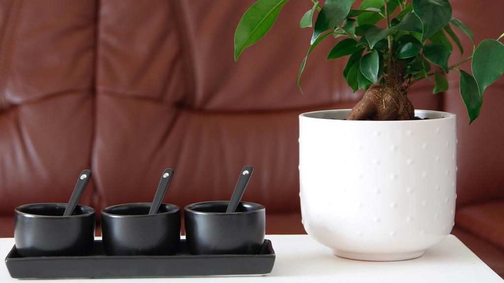 BOWLS CONTAINERS FOR SAUCE AND DIP 3 pcs SET