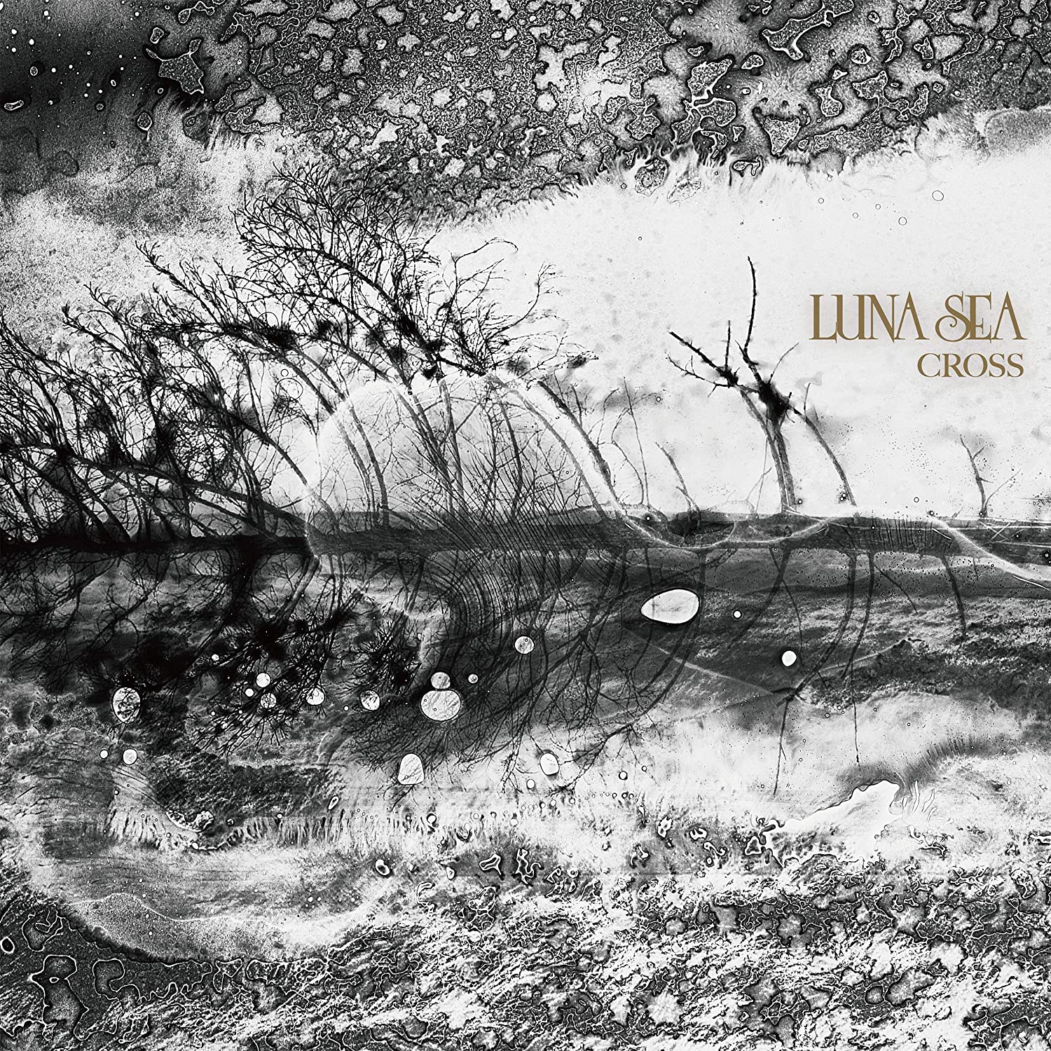 CD LUNA SEA CROSStsuujouban UPCH2199 2019 Япония Obi Японский Поп-Рок