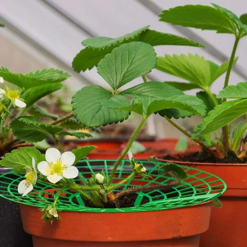 5/20 ks Podpěry na jahody se 3 podpěrnými nohami Podpěra pro plody rostlin Stojany na pěstování zeleniny Přenosné zahradní potřeby