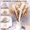 Dried Pampas Grass Decor, 100 PCS Pampas Grass Contains Bunny Tails Dried Flowers, Reed Grass Bouquet for Wedding Boho Flowers Home Table Decor