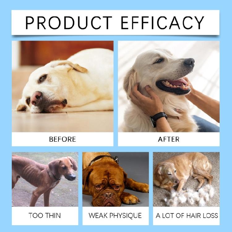 Hundegesundheitsergänzung mit Vitaminen, Mineralstoffen, Aminosäuren 80 Tabletten zur Verbesserung des Immunsystems Für Alle Rassen