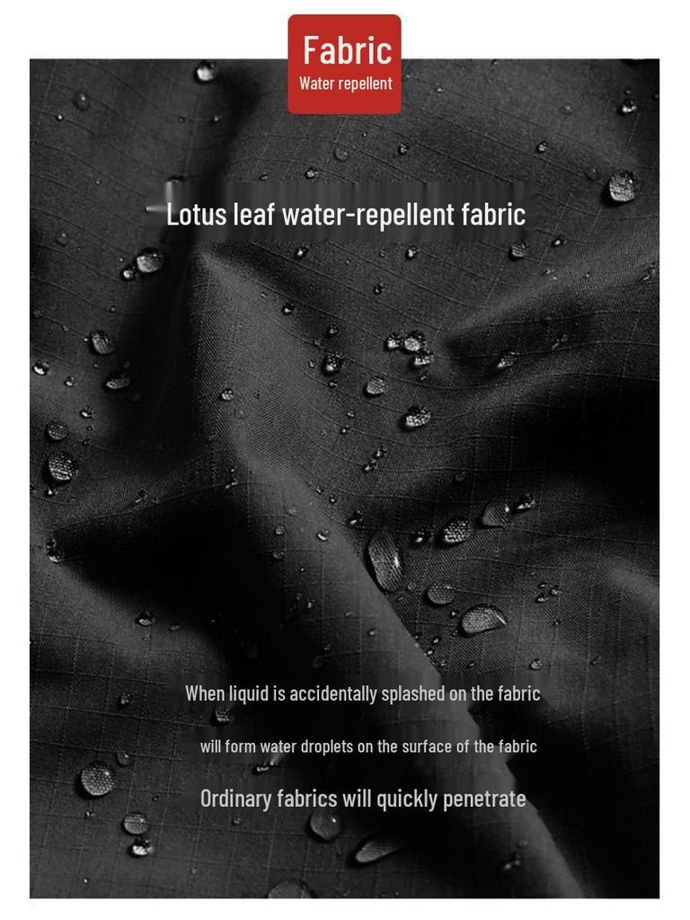 Damskie wiatroodporne i wodoodporne spodnie softshellowe do wędrówek Bird's, odpowiednie na wiosnę, jesień i lato do sportów i rekreacji na świeżym powietrzu.