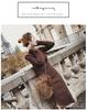 Autumn/Winter 2025 High-Neck Knit Wool Split Dress