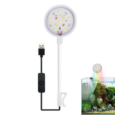 Fische & Meerestiere – Aquarienbeleuchtung