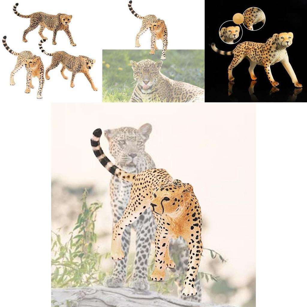 Realistic Wild Animal Model Cheetah Head Up Clouded Leopard African Leopard Indian Leopard Desktop Decor Toy 10*2.5*6.5cm)