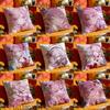 Elysia Pillow Case For Sofa Decor Car Office Room Printing Cushion Cover Decorations and Protector