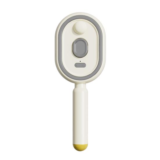 

Electric Spray Air Cushion Brush Brush with Water 2-In-1 Misting Hair Spray Reduce Frizz Anti-Static Retractable