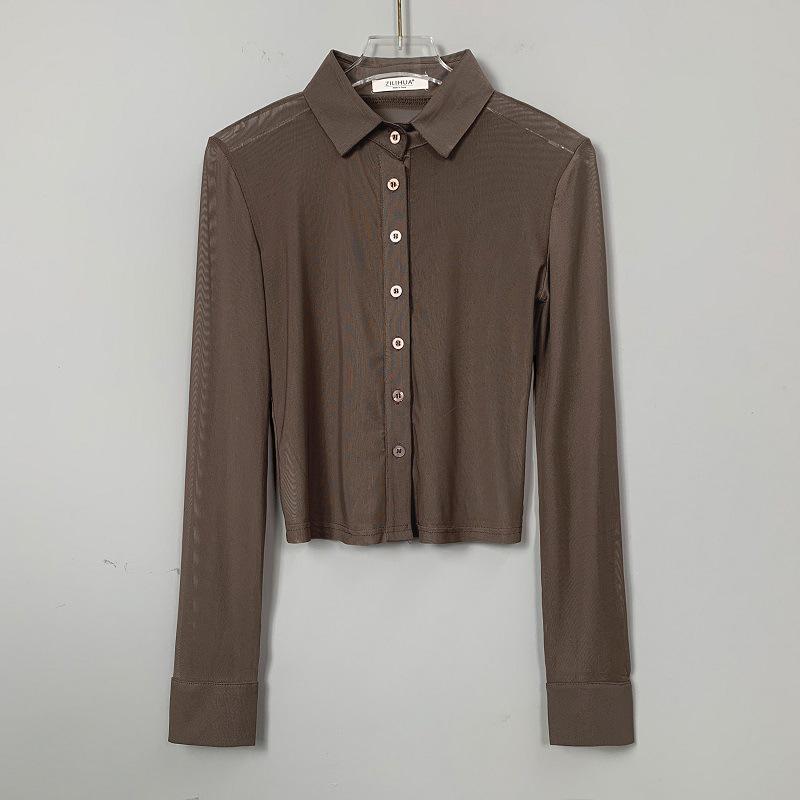 Korean Slimming See-through Mesh Long Sleeve Top for Women One Size