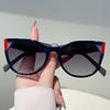 Oversized Cat Eye Sunglasses Women Fashion Vintage Patchwork Rim Gradient Shades Trendy Brand Design Anti-UV Sun Glasses