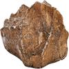 Resin Reptile Hide Cave Flat Base Reptile Shelter Sturdy Hideout Decor  Pet Enclosure
