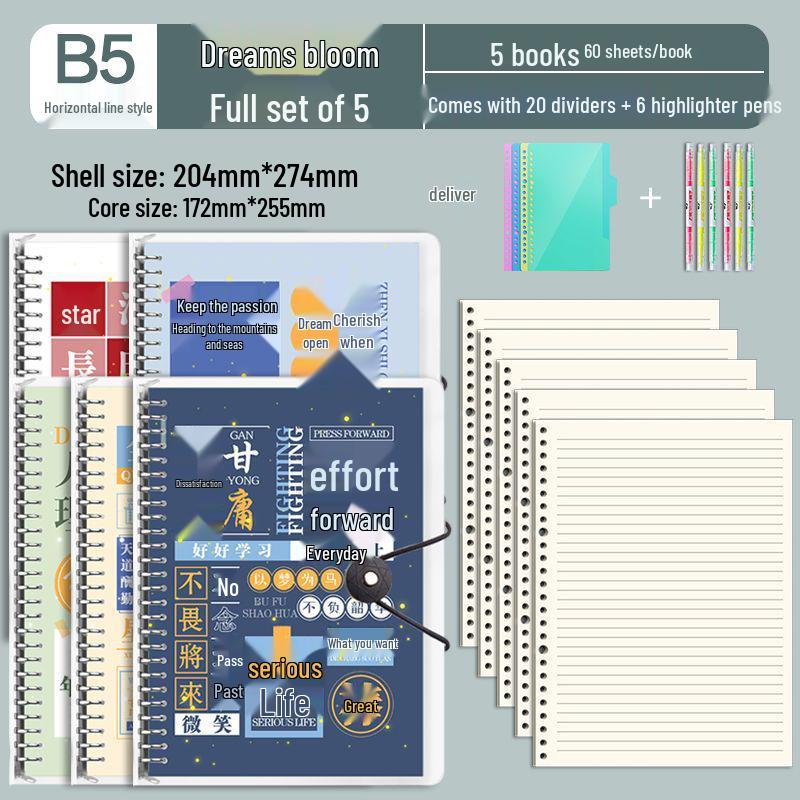 B5 Detachable Coil Ring Binder Thickened Notebook - High Aesthetic Ins Style