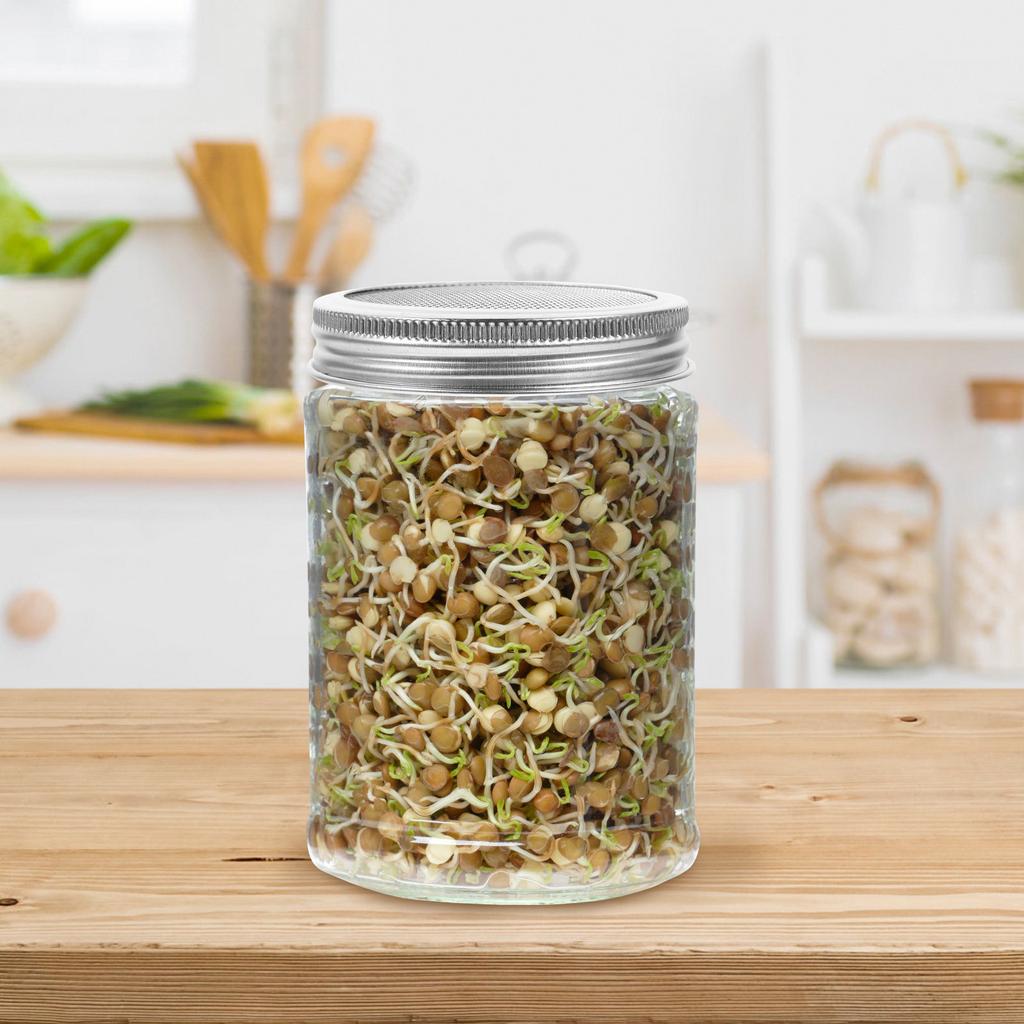 3Pcs Stainless Steel Sprouting Lids Wide Mouth Mason Jars for Making Organic Broccoli Bean Lentil Sprouting Jar