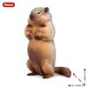 Oenux Simulation Wild Muroid Animal Squirre Mouse Sugar Glider lMarmot Rat Chinchilla Model Action Figures Lovely PVC Kids Toy