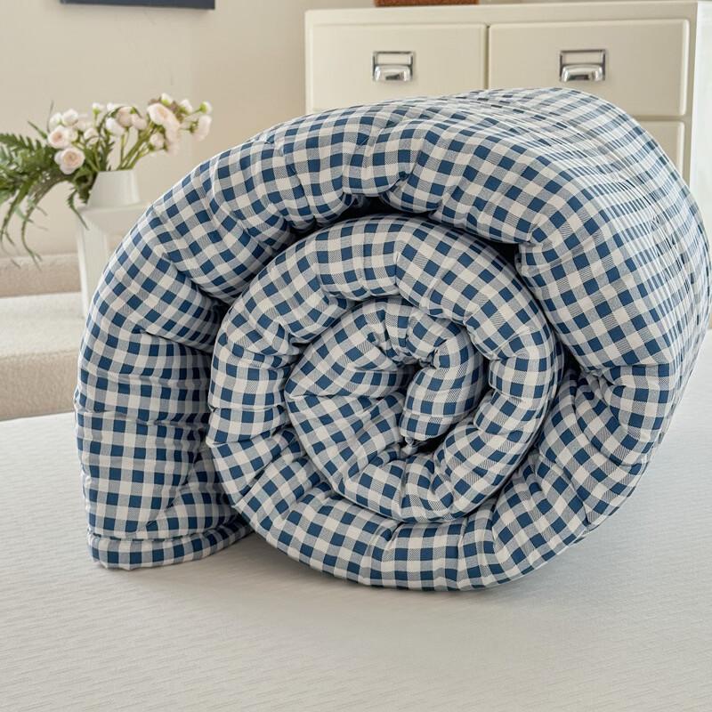 Brangdy Winter Dormitory Quilt