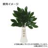 [Hasegawa Buddhist Altar] Sakaki Stand, Shinto Shrine, Sakaki Stand, Inscribed, 5.0mm