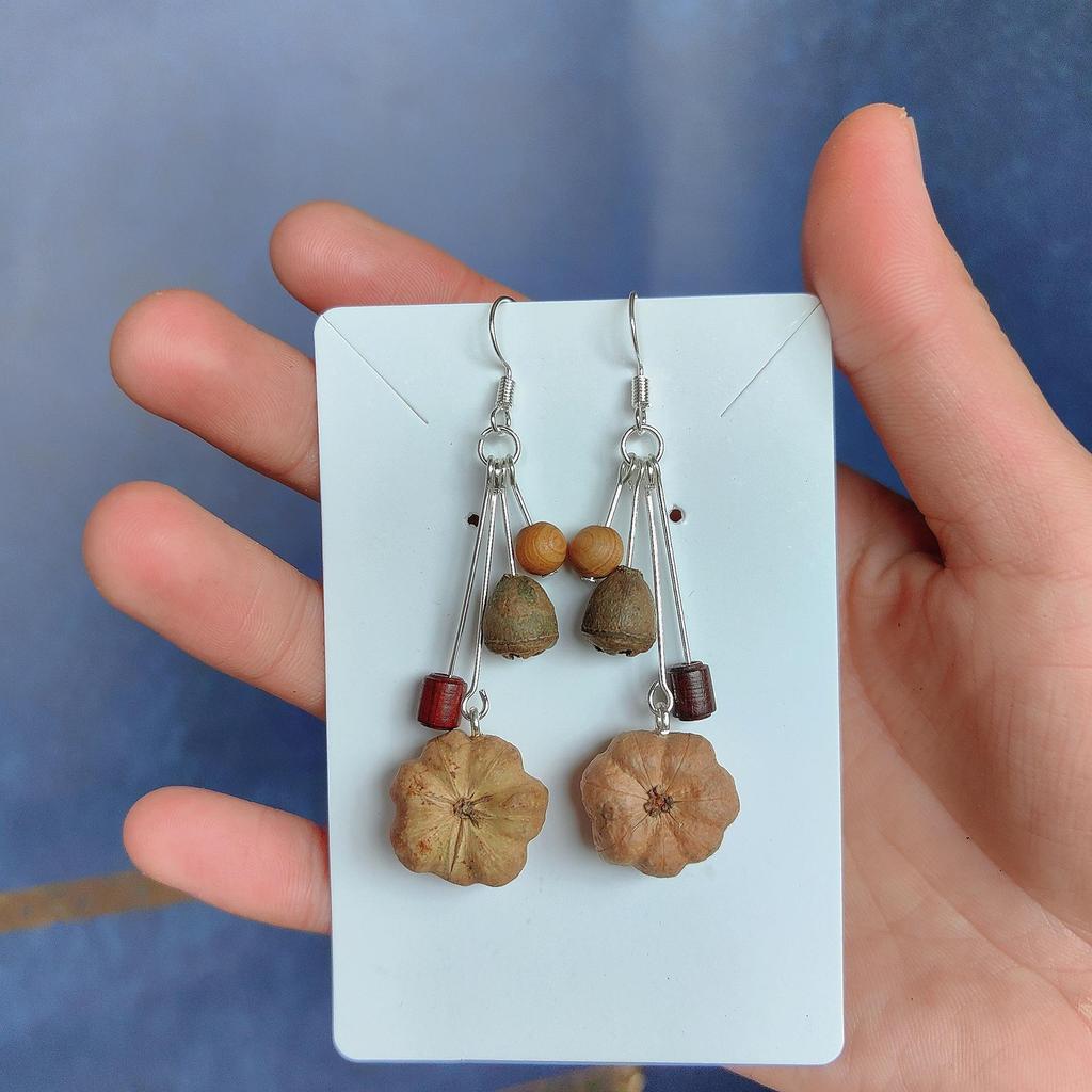 Fruit Earrings - Handmade Natural Dried Fruit Earrings, Retro Chinese Medicine Ethnic Style, for Women.