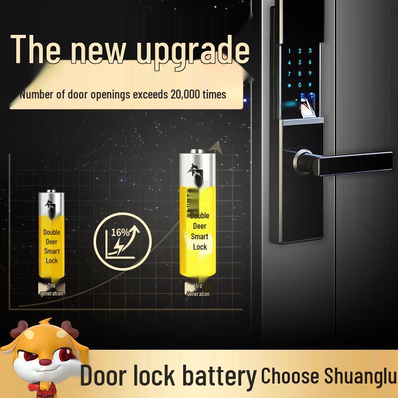 Shuanglu AA Alkaline Batteries for Smart Locks CN plug (adapter included)