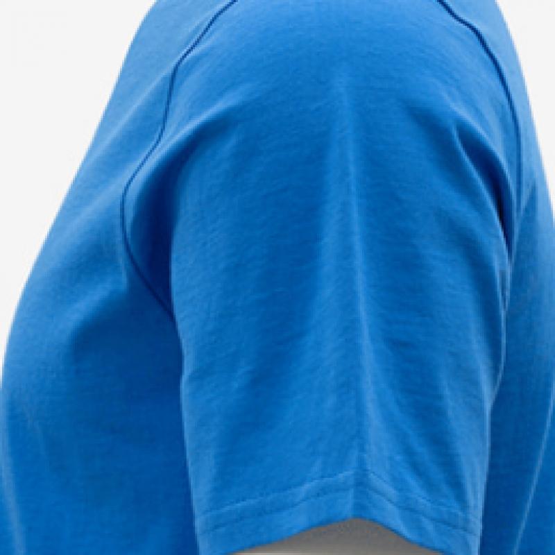 Puma Galleria Puma Round Neck Short Sleeve Training Wear Team Goal Casual Blue