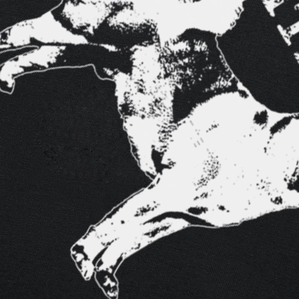 Funny American Akita Dog Graphic T Shirts Men Women Pure Cotton Humor Streetwear Tee Shirt Short Sleeve Unisex Loose Clothing