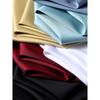 Business Casual Antibacterial Mulberry Silk Shirts Men's Long Sleeve Spring and Autumn Thin 2025 New Slim Fit Foreign Trade Men's Shirt