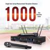 HuiDu QH-9900 Professional 2-Channel True Diversity Wireless Microphone System (CN version)