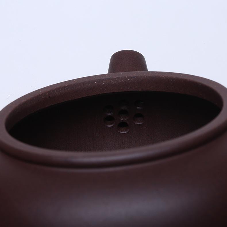 Handmade Yixing Purple Clay Teapot Set - Antique-Style Tangyu Side Handle