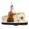 4/4 Electric Smart Violin Astonvilla  Acoustic EQ Natural Surface Maple Back Electric Violin Case Shoulder Rest Accessories