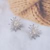 Zircon Star Earrings for Women 2026 Trend Luxury Wedding Jewelry Shining Imitation Crystal Decoration Festival Gift Daily Wear