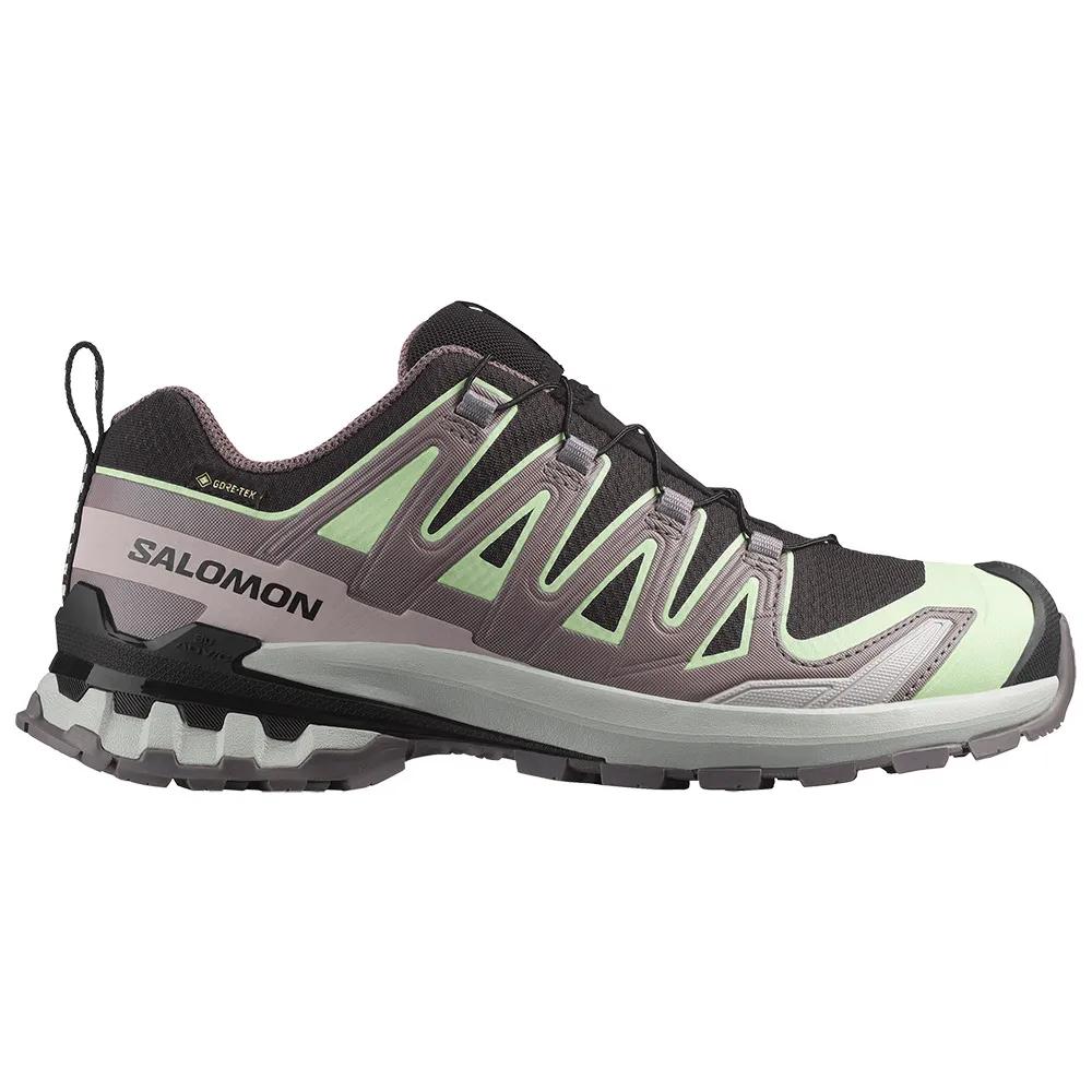SALOMON XA Pro 3D V9 Goretex Trail Running Shoes