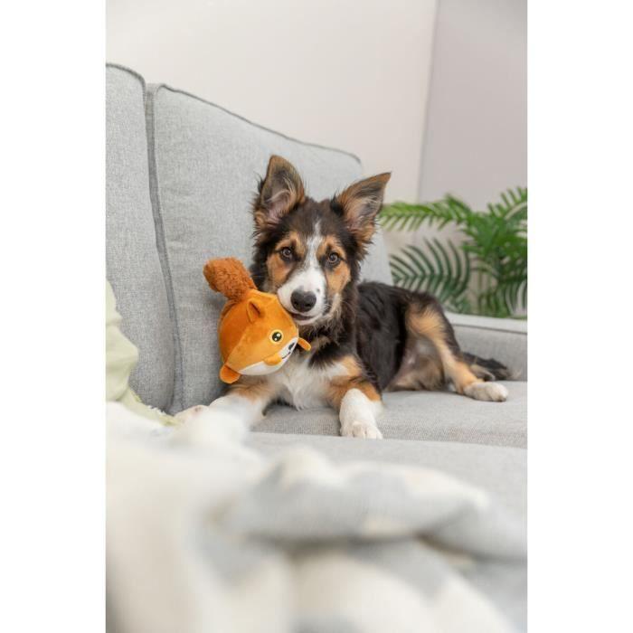 Jouet peluche pour chien ecureuil rond Trixie (x2)