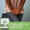 Saw Palmetto Capsules: Supports Prostate and Urinary System Health 120 Capsules