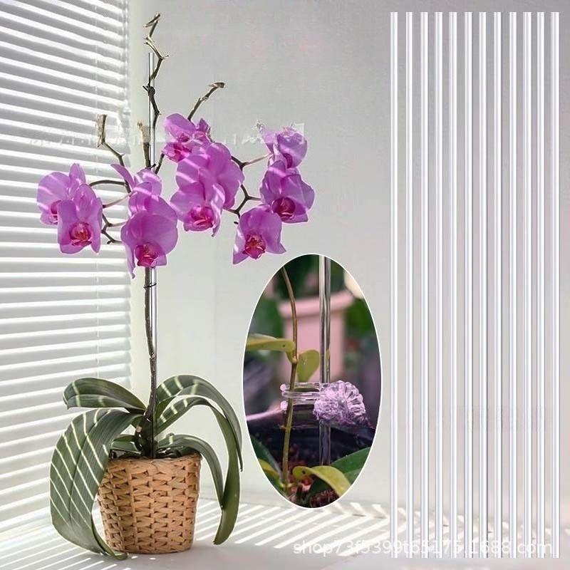 Piquets de Support pour Plantes en Acrylique Transparent de 40 cm avec Pinces Tiges de Support pour Fleurs Réutilisables Piquets de Fixation pour Tige Unique d'Orchidée ou Tige de Tomate