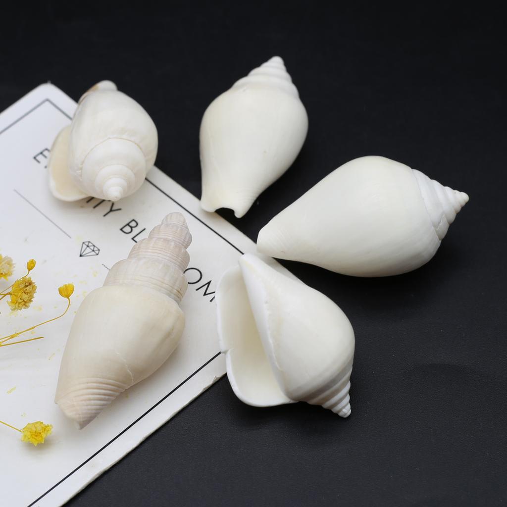 Cheap 200G DIY Shell Beads White Snail Shell Bead Without Hole Bathtub ...