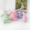 Niedliche Osterhasen-Silikonform für Kerzen, schöne Hasenform, Kunstharzform, einzigartige Silikonform für selbstgemachte Osterkerzen