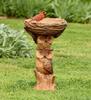 Resin Raccoon Birdbath Polyresin Antique Garden Bird Bath For Home Garden Yard Garden Decoration Outdoor Gardening Yard Decor