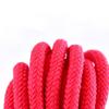 Vanguard Red Nylon Binding Rope