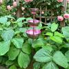 Handmade 3-Tiered Bird Bath Three-layer Bowl Bird Water Bowls Birdbath Stand  Patio