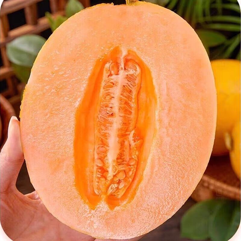 Sweet & Juicy Golden Melon (Approx. 1.5kg)