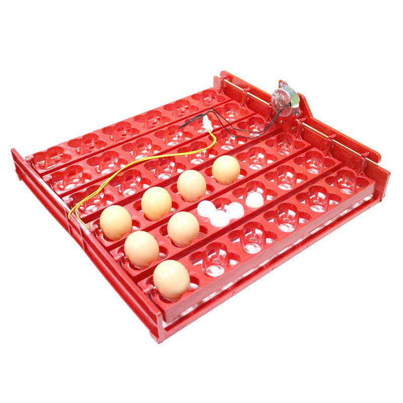 36 Eggs /144 Quail Eggs Incubator Tray Chickens 1/240 Or 2.5 r/min Ducks And Pigeons&Other Birds Parrot Quail Incubator Supplies